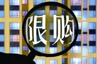 東莞購房必備 開發房地產與管理中的關鍵事項